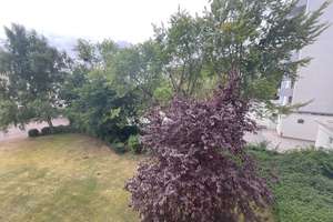 Bezugsfreie, attraktive 3-Zimmer-Wohnung mit grüner Aussicht in WOB-Westhagen – 38444 Westhagen, Wolfsburg – Vorschaubild 14