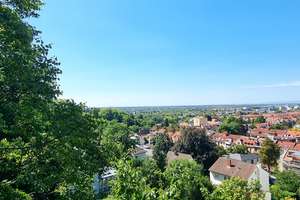 Einmalige Villa in der Heidelberger Weststadt – Die vollständige Adresse der Immobilie erhältst du vom Anbieter., 69115 Weststadt, Heidelberg – Vorschaubild 65
