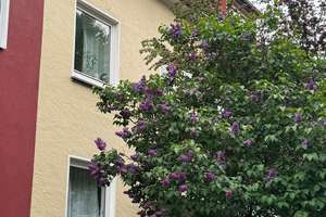 Kleines MFH mit drei Wohnungen und Garten - Bremen-Osterfeuerberg – Die vollständige Adresse der Immobilie erhältst du vom Anbieter., 28219 Osterfeuerberg, Bremen – Vorschaubild 3
