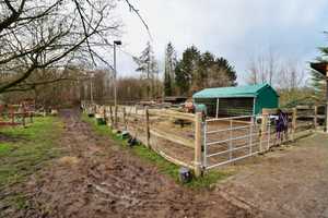 Modernes Holzbohlenarchitektenhaus am Feldrand mit Paddock und Reitplatz – Peine (Kreis) – Vorschaubild 17