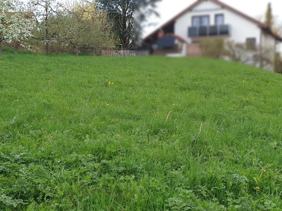 Grundstück