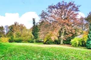 Traumhaftes, naturnahes Anwesen im "Wald – Die vollständige Adresse der Immobilie erhältst du vom Anbieter., 4827 Machern – Vorschaubild 33