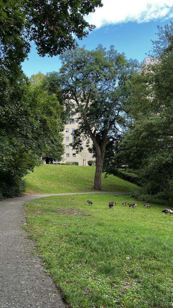 Blick vom Praterweiher