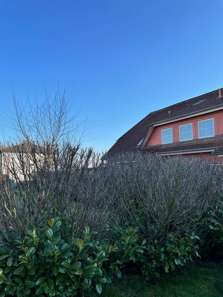 Immobilie in Sassenburg - Reihenendhaus mit tollem Ausblick - Bild 2