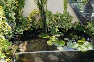 Property thumbnail 36