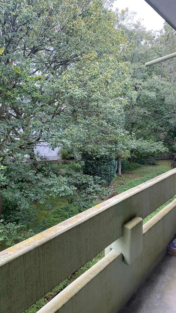 Immobilie in Königstein - Sehr gepflegte  1-Zimmer-Wohnung in ruhiger Wohn-Lage mit großartigem Balkon, idyllisch am Waldrand - Bild 0