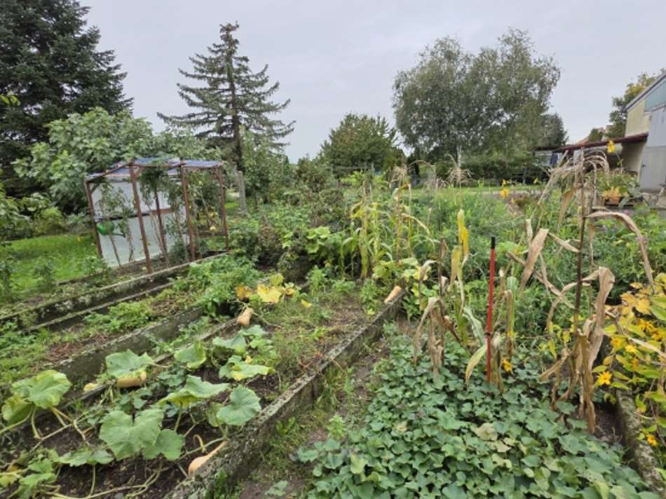 VK-1517 Aussenbereich Scheune