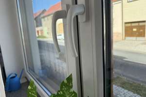 teilsanierter Vierseitenhof mit großem Grundstück und Gartenidylle – Hauptstraße 84, 99887 Hohenkirchen – Vorschaubild 14