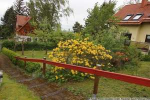 kleines Haus mit sonnigen Garten, Garage , 2 Carports, Werkstatt und Waldstück – Wölfiser Str. 40, 99885 Luisenthal – Vorschaubild 7