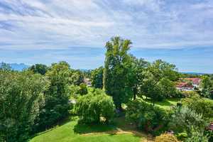 Property thumbnail 26