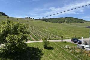 Natur pur - Großes EFH am Ortsrand - Nähe Trier und Luxemburg – Beim Weinskreuz 1, 54340 Leiwen – Vorschaubild 29