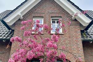 Einfamilienhaus mit 7 Zimmern in Rhede