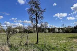 weiträumiger, zusammenhängender Bauernhof – Uckermark (Kreis) – Vorschaubild 12