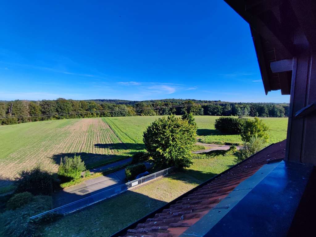 Immobilie in Trippstadt - Helle Wohnung im bevorzugten Luftkurort Trippstadt - Bild 3