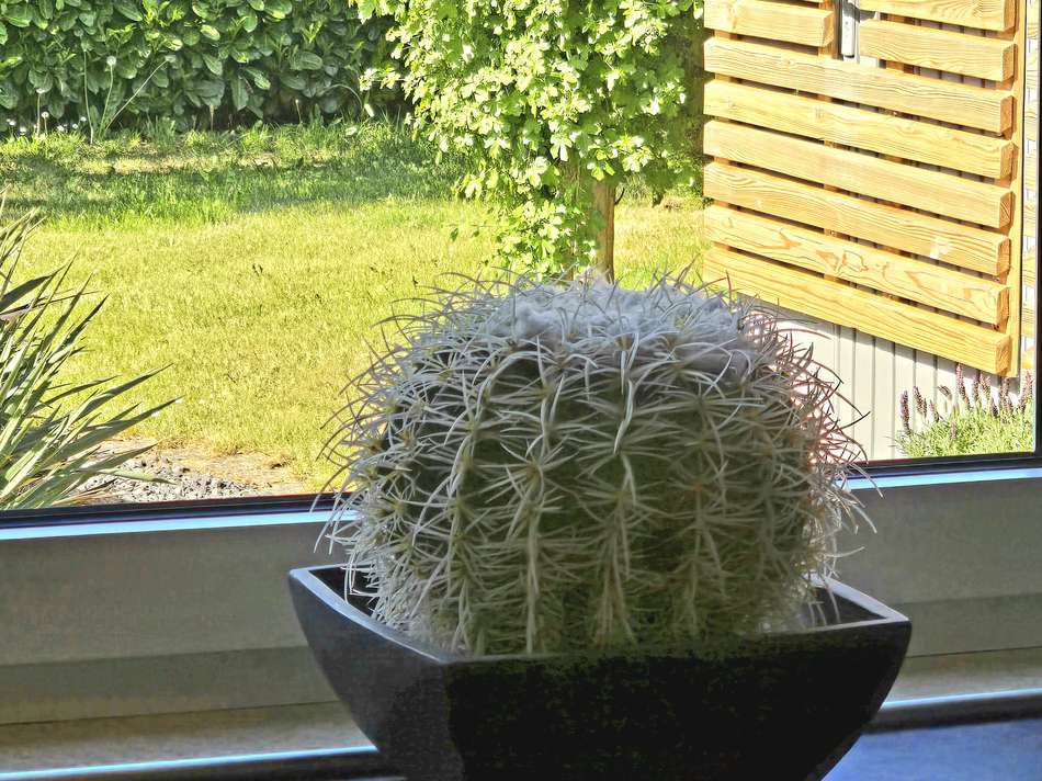 Blick aus der Küche