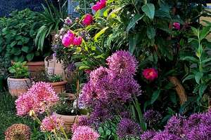 Modernes Wohnen mit Kamin, Pool und liebevoll angelegtem Garten – Sommerflor 2, 55129 Ebersheim, Mainz – Vorschaubild 16