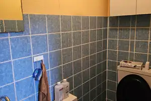 Geschäftshaus in zentraler Lage von Nastätten – Gewerbe, Wohnen oder beides vereint – Rheinstraße 3, 56355 Rhein-Lahn-Kreis – Vorschaubild 33