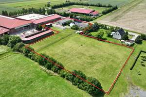 Landleben pur: Einfamilienhaus mit Pferdestallung und 4000 m² Grünland – Die vollständige Adresse der Immobilie erhältst du vom Anbieter., 38154 Königslutter am Elm – Vorschaubild 1