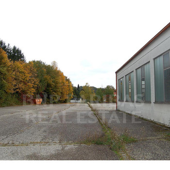ebenerdige Kalthalle mit großzügiger Freifläche und kleinem Büro