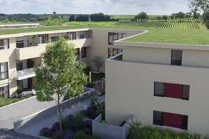 Terra Vigne - wohnen zwischen Stadt und Weinberg - Reihenendhaus – Die vollständige Adresse der Immobilie erhältst du vom Anbieter., 76829 Landau, Landau in der Pfalz – Vorschaubild 5