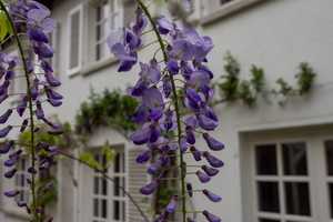 Traumhafte Villa im französischen Landhausstil – Ostalbkreis – Vorschaubild 23