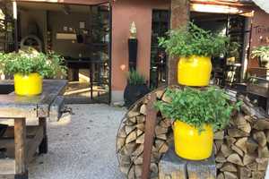 Beeindruckende freistehende Jugendstilvilla mit traumhaften Gartengrundstück zu verkaufen! – Birkenfeld (Kreis) – Vorschaubild 23