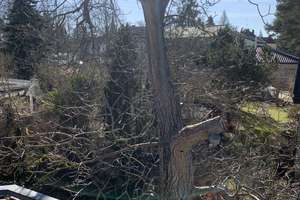 Property thumbnail 15