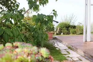LIEBEVOLL & CHARMANT - Freistehendes Einfamilienhaus in 74744 Ahorn – Main-Tauber-Kreis – Vorschaubild 9