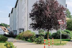 Komfortabel Wohnen im Hellwinkel // 2.OG rechts – Rosenweg 3, 38446 Hellwinkel, Wolfsburg – Vorschaubild 1