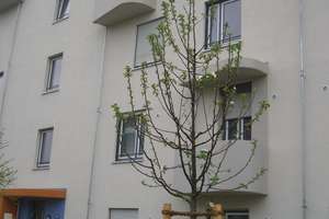 Herrliche 2,5 Zimmer Wohnung mit Terrasse in München Perlach  – Die vollständige Adresse der Immobilie erhältst du vom Anbieter., 81737 Altperlach, München – Vorschaubild 3
