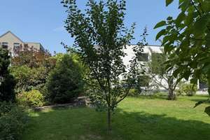 BONN OBERKASSEL freist. Einfam. Haus mit ca. 200 m² Wfl., 841 m² GrSt. Keller, Garage, Baugrundstück – Die vollständige Adresse der Immobilie erhältst du vom Anbieter., 53227 Oberkassel, Bonn – Vorschaubild 54