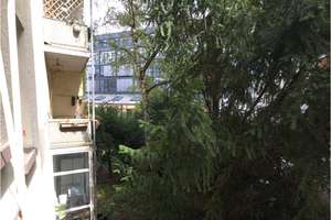 Urban wohnen. Zuhause ankommen / 2-Zimmer Eigentumswohnung in Top-Lage von Frankfurt – 60594 Sachsenhausen-Nord, Frankfurt am Main – Vorschaubild 7
