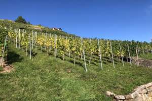 Property thumbnail 21