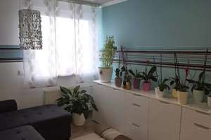 Tilsiter Straße 6, 75181 Pforzheim – Tilsiter Straße 6, 75181 Haidach, Pforzheim – Vorschaubild 6