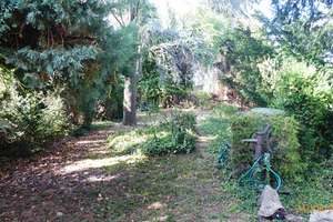 + Darmstadt-Arheilgen mit großem Gartenparadies - Freistehend mit Garagen und großem Garten + – Die vollständige Adresse der Immobilie erhältst du vom Anbieter., 64293 Darmstadt-Nord, Darmstadt – Vorschaubild 27
