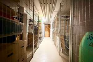Helle und gepflegte Dachgeschoss-Wohnung mit Balkon und Einbauküche sowie TG-Stellplatz – 68259 Wallstadt, Mannheim – Vorschaubild 8