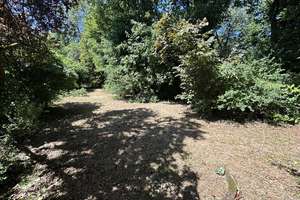 Bungalow in zentraler und dennoch ruhiger Lage von Niedernhausen! – Die vollständige Adresse der Immobilie erhältst du vom Anbieter., 65527 Niedernhausen – Vorschaubild 5