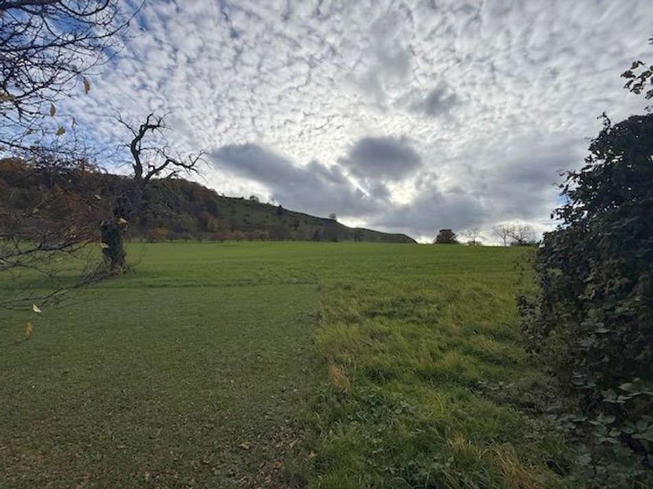 Grdst.grenze zur freien Natur