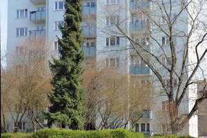 Familienwohnung mit zwei Balkonen! – Havensteinstraße 14, 12249 Lankwitz, Berlin – Vorschaubild 2