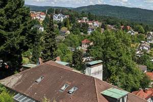 Wohnen wie ein Burgherr - 4 Parteien, für Kapitalanleger oder Eigennutzer – Schloßwaldweg 18, 64678 Lindenfels – Vorschaubild 3