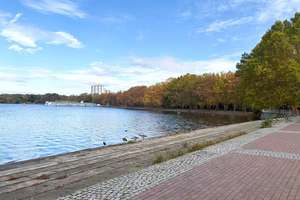 Property thumbnail 14