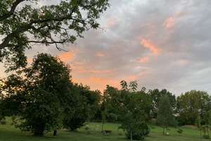 NICHT AMELSBÜREN; MÜNSTER !! Wohnen im Grünen und doch zentral- 190 qm 1.OG 3 Schlafzimmer Balkon