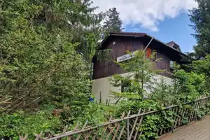 Jugendstilvilla - Gründerzeit/ In traumhafter Lage mit viel Geschichte in Bad Sachsa zu verkaufen. – Osterode am Harz (Kreis) – Vorschaubild 27