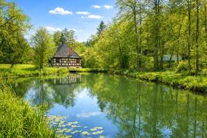 Ehemalige Mühle mit parkähnlichen Grundstück und Teich in Alleinlage von Weismain – Die vollständige Adresse der Immobilie erhältst du vom Anbieter., 96260 Weismain – Vorschaubild 8