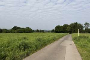 Wohnen im Grünen, spektakulärer Weitblick – großzügiges REH, Blick auf Colonius – Erbelegasse 12c, 51377 Steinbüchel, Leverkusen – Vorschaubild 1