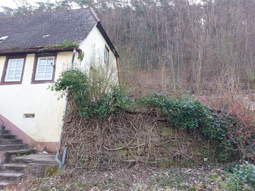 Immobilie in Erfweiler - Denkmalgeschütztes Wohnhaus für Liebhaber - Bild 3