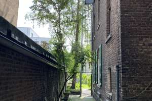 Wunderschöne Einzimmerwohnung: Hochbett, Küche und Wannenbad. Altbau mit Gartennutzung. – Hacketäuerstrasse 68, 51063 Mülheim (Ortsteil), Köln – Vorschaubild 17