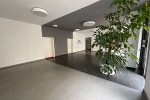 seltene Gelegenheit + freiwerdend + barrierefrei + großer Südbalkon + schöne Lage in der Südvorstadt – 4275 Südvorstadt, Leipzig – Vorschaubild 13