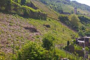 VORGEMERKT!! Romantisches Stadthaus mit Dachterrasse und Nebengebäude in Zell (Mosel) – Die vollständige Adresse der Immobilie erhältst du vom Anbieter., 56856 Zell (Mosel) – Vorschaubild 15