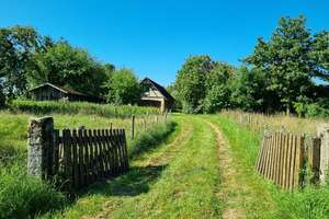 Ehemaliges Bauernanwesen mit diversen Nebengebäuden und riesigem Grundstück! – Die vollständige Adresse der Immobilie erhältst du vom Anbieter., 95488 Eckersdorf – Vorschaubild 10